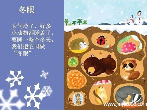 十二种冬眠的动物冬天有哪些动物冬眠