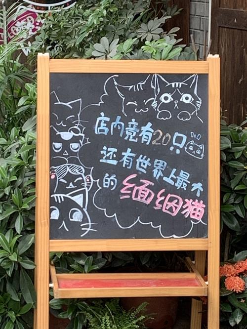 宠物店小黑板设计图宠物店手绘荧光板图案设计