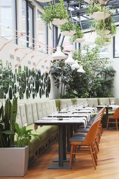 被绿色植物环绕的餐厅设计装修达人装修头条齐家网