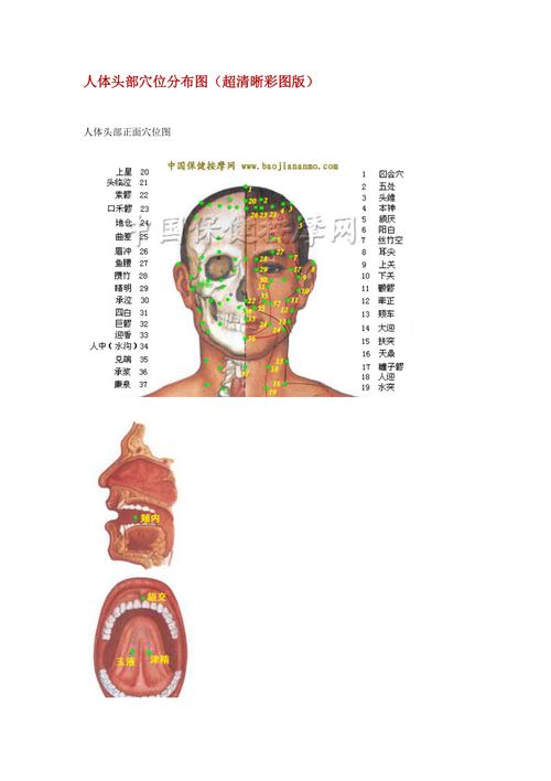 人体头部穴位分布图超清晰彩图版