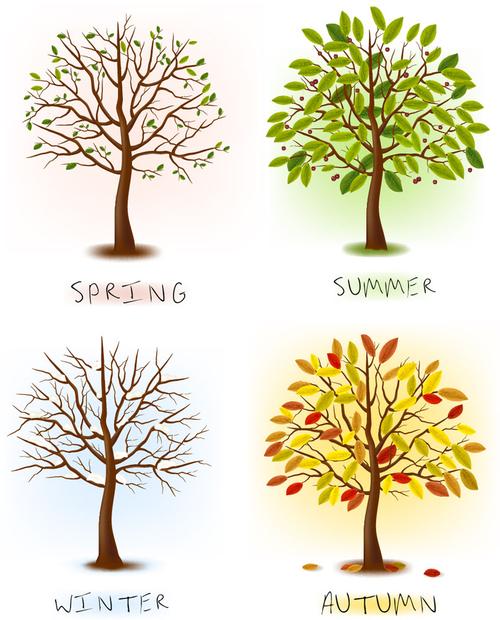 关键词春夏秋冬树木图片下载春夏秋冬树木卡通树矢量树植物