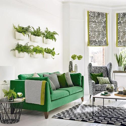 客厅布置盆栽绿植的10个创意