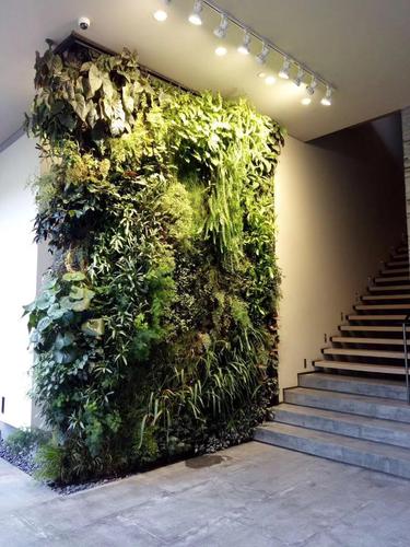 在商业和住宅装饰装修中一面植物幕墙能为你的建筑物增加明显的价值.