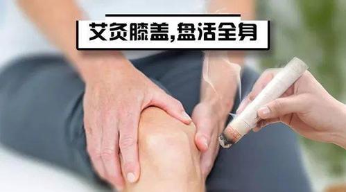 艾养身灸膝一月爽气一年央视教您膝骨关节炎艾灸疗法改善膝关节问题