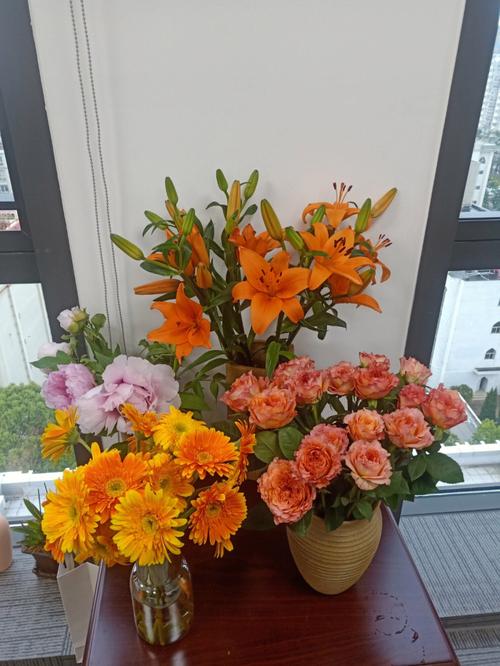 办公室鲜花
