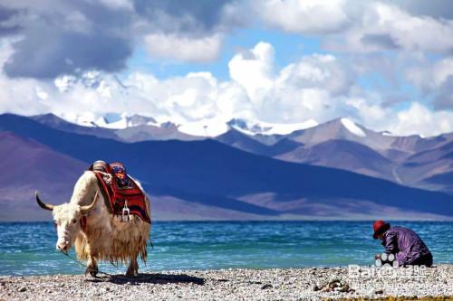 来西藏旅游必不可少的景点