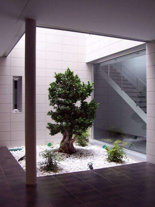 天井房这样设计太精致10面积比花园还美难怪在日本受欢迎