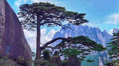 2020十一国内旅游景点安徽黄山风景