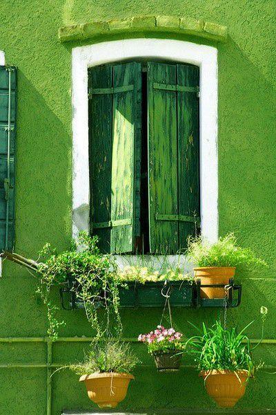 绿色窗子