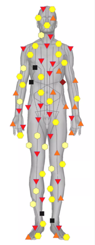 360人体健康云卫士采集到云卫士人体经络感知实验模型97图花瓣