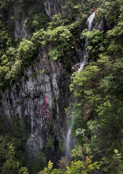 5月14日拍摄的三百山景区东江源.