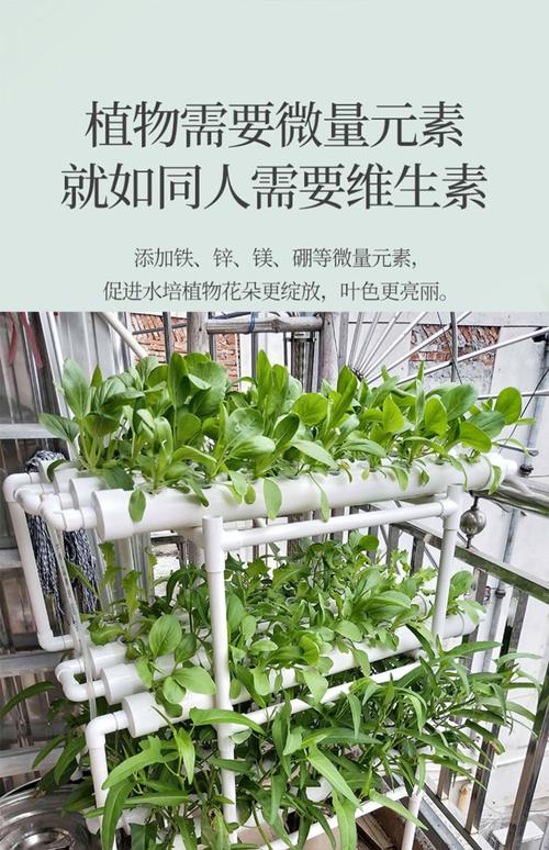 无土栽培设备家庭阳台管道式水培种植机自动水耕蔬菜系统多层花架