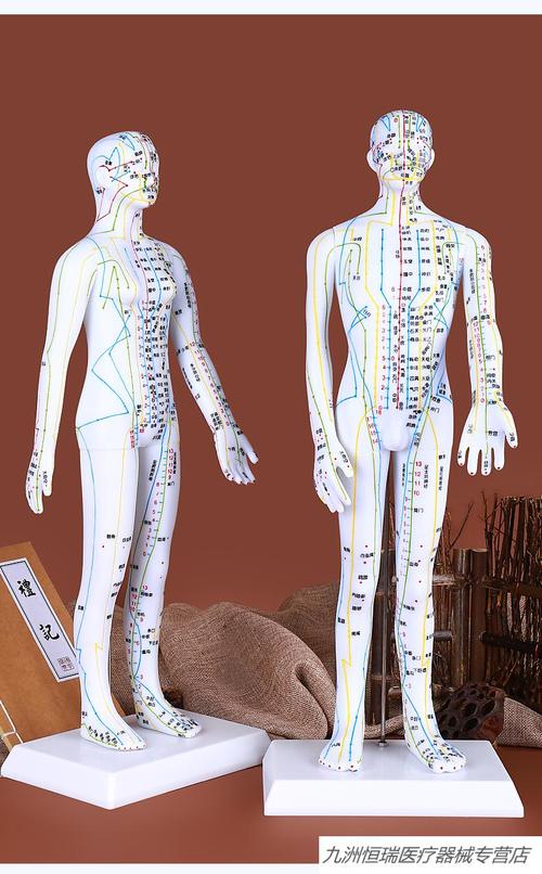 针灸铜人人体模型人体针灸模型经络穴位中医全身十二铜人模特图小人