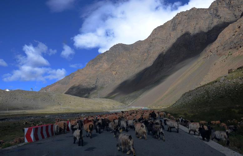 遥远的西藏旅游七日喀则后藏风光