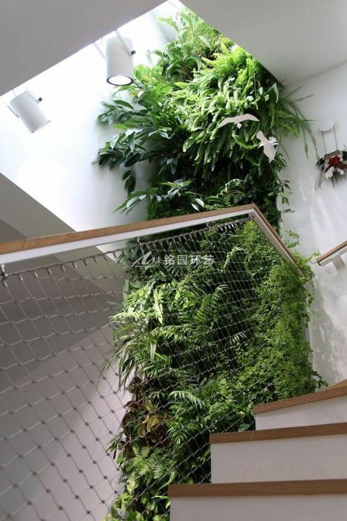 别墅楼梯过道垂直绿化景观