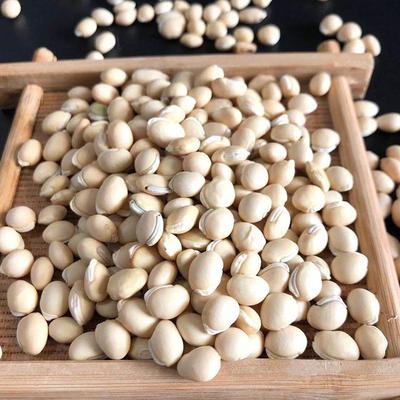 精选祛湿药用中药材农家自产食用干生1000g白扁豆