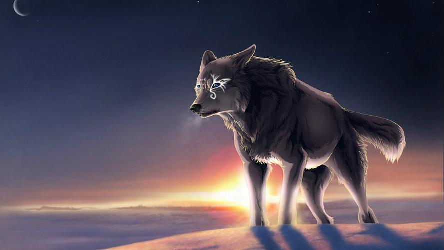 动物狼插画高清win7桌面壁纸动物世界野生动物狼插画哺乳动物动物摄影