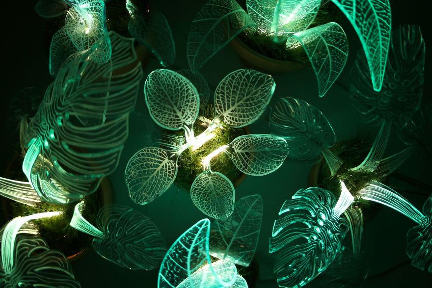发光植物来了充电就绽放荧光的改造植物品种