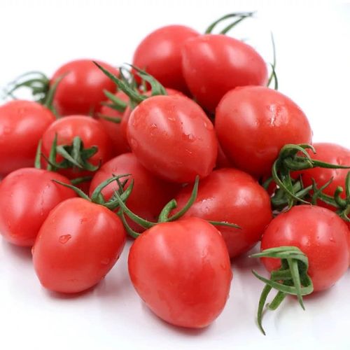 圣女果山东千禧小番茄新鲜樱桃柿子小西红柿孕妇水果现摘5斤包邮