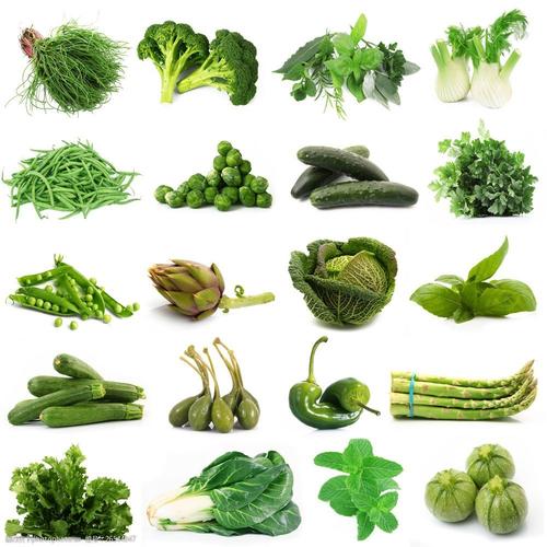 新鲜的绿色蔬菜集合图片