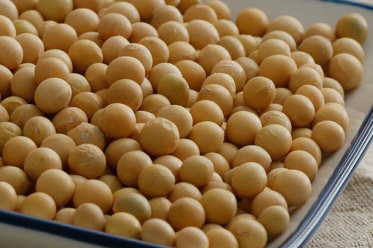 怎么分辨买的大豆是不是转基因