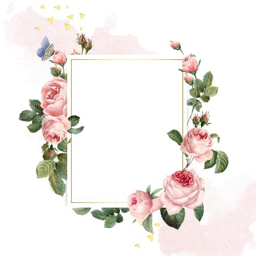 矢量边框粉色淡雅清新花框背景矢量