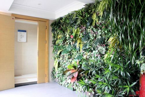 室内植物墙不可或缺的六个要素之一气