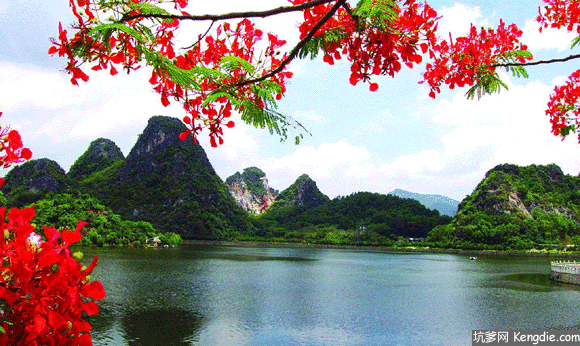 该图是山中有水水中有花花中有山的一幅美景动态图片.