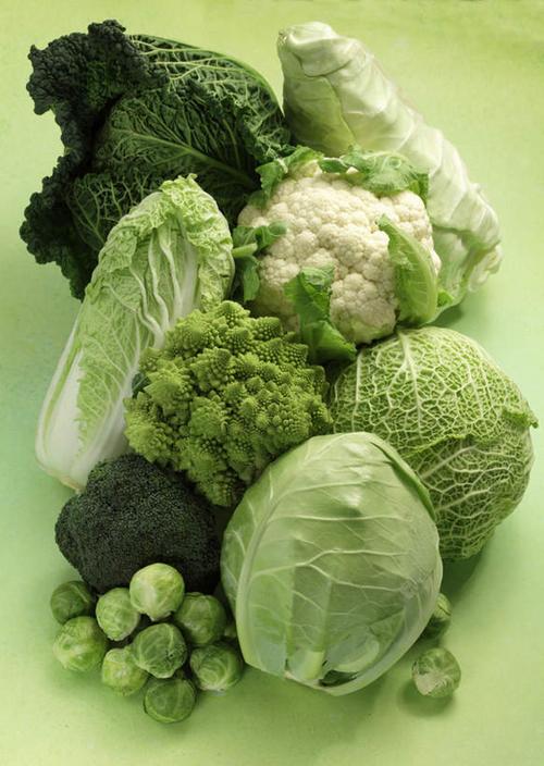 影子花菜花椰菜食品很多菜花食物甘蓝摄影有机食品绿色食品