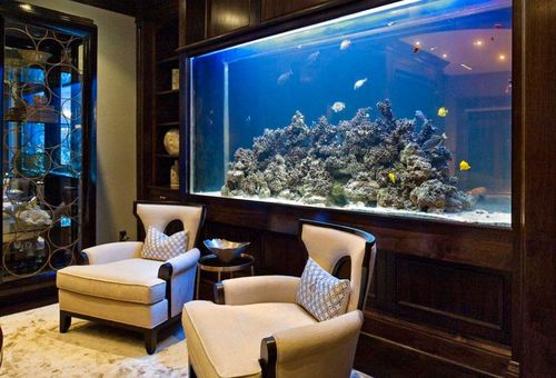 鱼缸客厅摆放风水位置示意图哪些人不适合在客厅摆放鱼缸