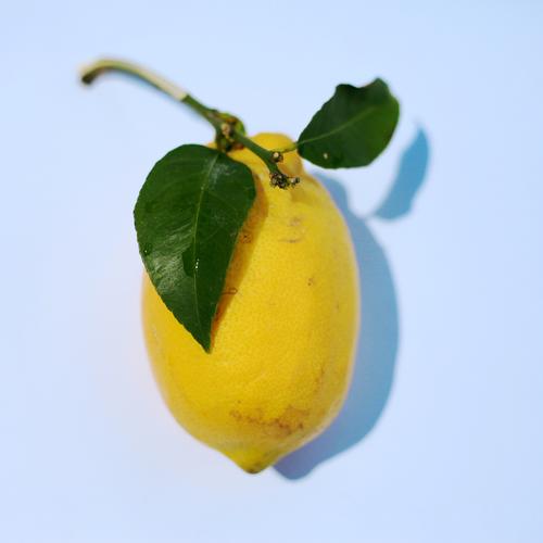 酸涩的柠檬图片