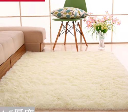 北欧地毯卧室客厅房间床边毯简约可爱大面积全铺毛毯地垫可睡可坐