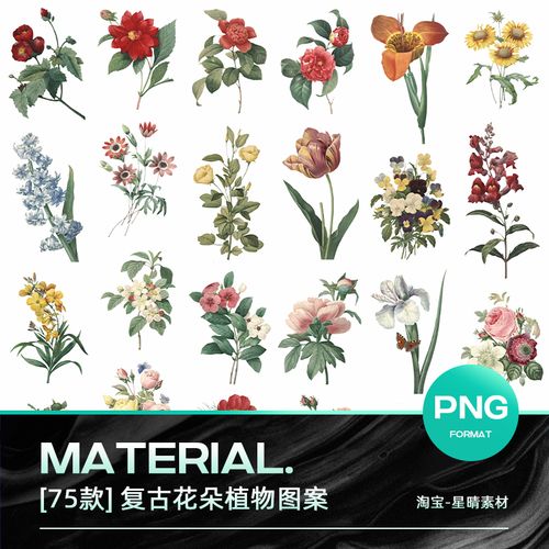 鲜花植物图案复古手绘花朵花卉png免抠设计素材高清图片装饰元素