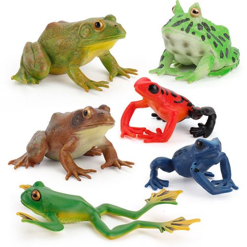 儿童认知礼物仿真可爱青蛙模型林蛙蟾蜍两栖动物实心塑胶玩具套装