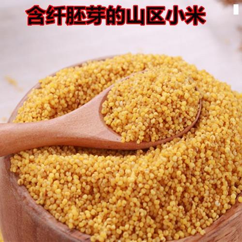 新货黄小米延安油小米老品种香谷米新米脂小米原粮香谷米500g