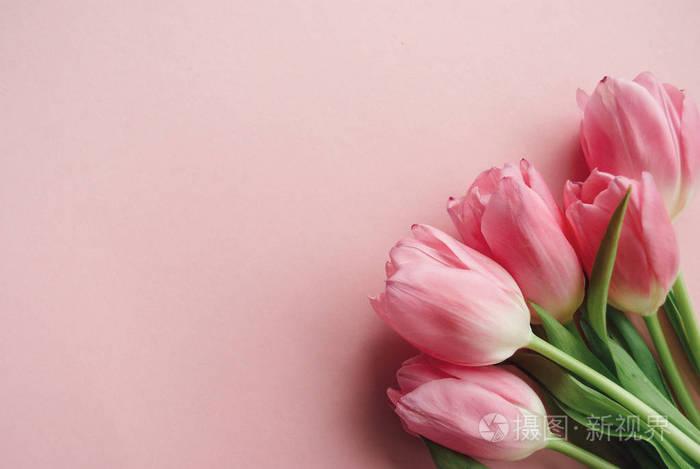 束美丽的粉红色郁金香上苍白的粉红色柔和的背景