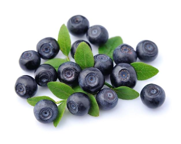 新鲜的蓝莓水果高清图片