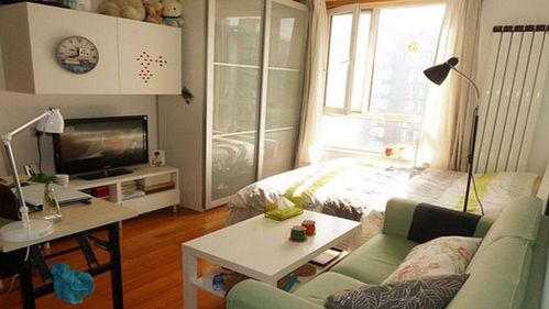 40平米小户型公寓装修案例温馨蜗居惬意生活