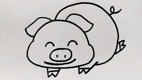 懒洋洋的小猪简笔画