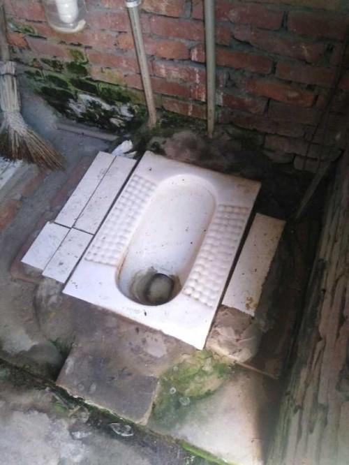 彭泽农村茅厕改建化粪池补贴款何时到位