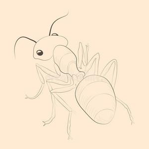 单独蚂蚁蚂蚁说明.手疲惫的隔离的草图.照片