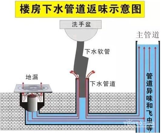 也就是你家的下水系统的管道在楼下洗手间上方的样子你家洗手间的