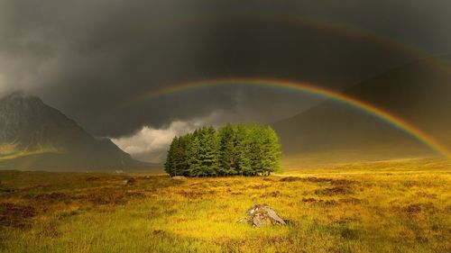 阴沉和多云的天空草树彩虹