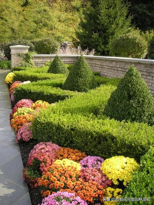 花园设计庭院绿篱也可以如此惊艳也可以造型神秘优美