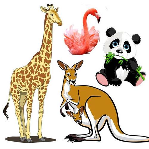 首届野生动物绘画大赛获奖者动物明星喊你领新年台历啦