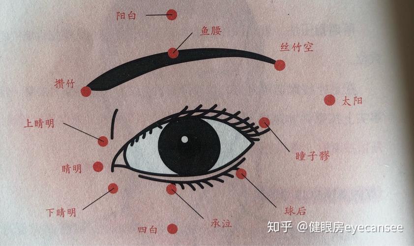 眼睛周围流通着与内脏相连的经络刺激这些经络上的穴位对恢复视力