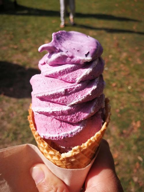 太好吃的蓝莓冰淇淋.