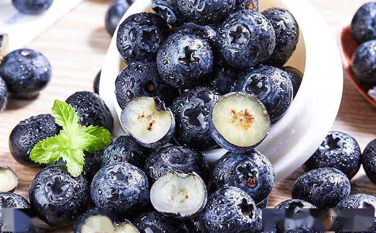 神奇的能量之果营养小巨人蓝莓