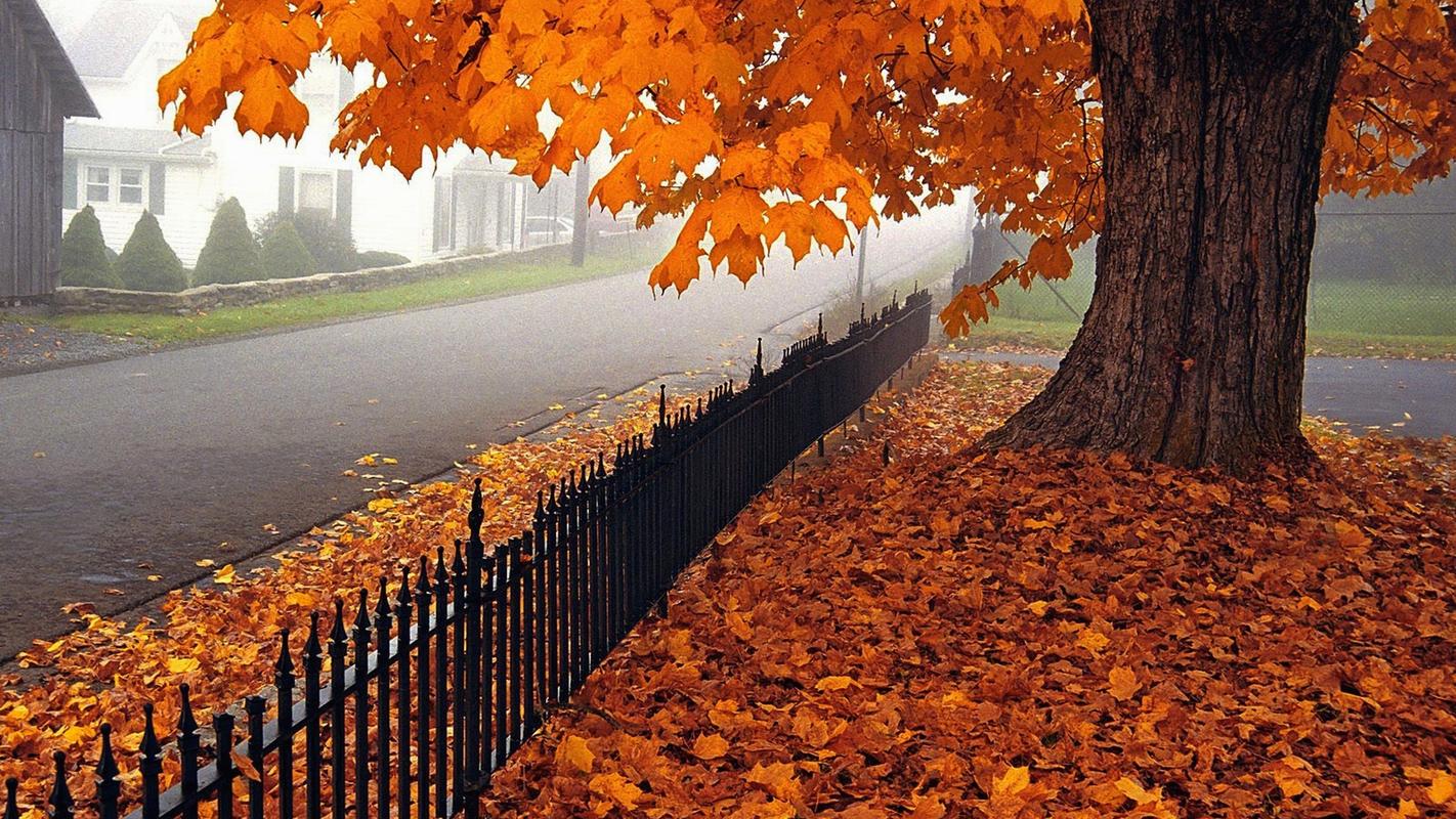 秋高气爽的唯美秋天风景图片大全电脑桌面壁纸下载