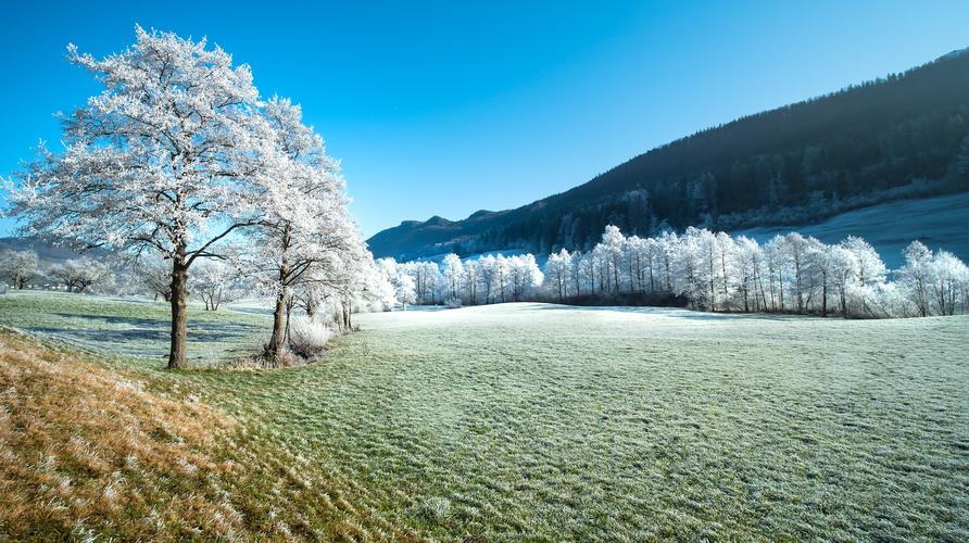 唯美的冬季景物图片800x600分辨率下载唯美的冬季景物图片图片壁纸